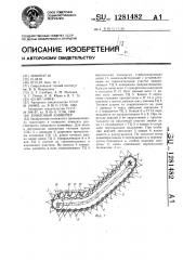 Ковшовый конвейер (патент 1281482)