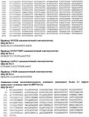 Рекомбинантный штамм дрожжей hansenula polymorpha - продуцент главного капсидного белка l1 вируса папилломы человека типа 16 (патент 2546241)