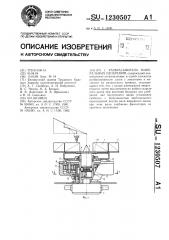 Разбрасыватель минеральных удобрений (патент 1230507)