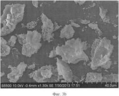 Способ получения алюмосиликатов натрия или калия из кремнийсодержащего растительного сырья (патент 2557607)