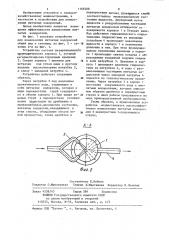 Устройство для измельчения нитчатых водорослей (патент 1168288)