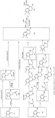 Способ получения производного бензоксазина, способы получения его промежуточного соединения и промежуточные соединения (патент 2258069)