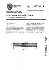 Устройство для мойки жестяных банок (патент 1063768)