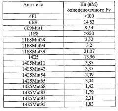 Антитела, которые связывают интегрин альфа-v бета-8 (патент 2614252)