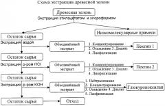 Способ получения полисахаридов из древесной зелени хвойных растений (патент 2448119)