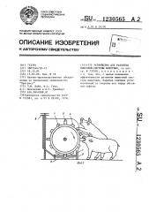Устройство для развития мышечной системы животных (патент 1230565)