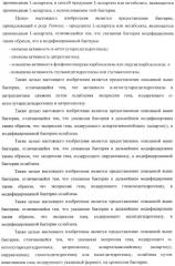 Бактерия, принадлежащая к роду pantoea, - продуцент l-аспартата или метаболита, являющегося производным l-аспартата, и способ получения l-аспартата или метаболита, являющегося производным l-аспартата (патент 2411289)