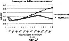 Штамм бактерий bacillus subtilis с высоким уровнем продуцирования фитазы (варианты), композиция для кормления животных и способ кормления животных (патент 2506307)