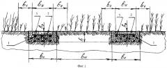Способ подсева трав в дернину сенокосов и пастбищ и устройство для его осуществления (патент 2384990)