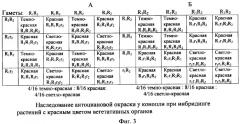 Способ отбора растений конопли по содержанию в них каннабиноидных соединений (патент 2324334)