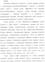 Фотохимическая интернализация для опосредованной вирусом доставки молекулы в цитозоль (патент 2317827)