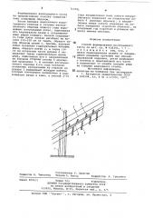 Способ формирования виноградного куста (патент 713551)