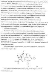 Соединения и композиции в качестве ингибиторов протеазы, активирующей каналы (патент 2419626)