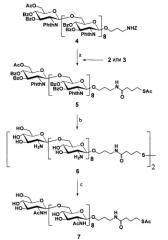 Способы и композиции, относящиеся к синтетическим бета-1,6-глюкозаминолигосахаридам (патент 2532911)