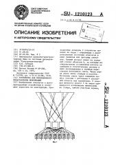 Устройство для проекционного представления информации (патент 1210123)