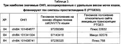 Повышение уровня гидратации организма кошки (патент 2651472)