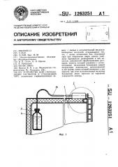 Устройство для стерилизации растворов в стеклянной таре (патент 1263251)