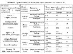 Аттенуированный штамм вируса - биологический препарат для защиты растений огурца от патогенных штаммов вируса зеленой крапчатой мозаики огурца (патент 2642321)