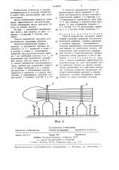 Способ разработки лесосеки (патент 1443859)