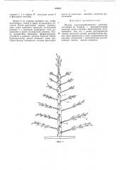 Модель сельскохозяйственного растения (патент 479459)