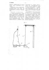 Способ механического снятия шкур с вертикально подвешенных туш рогатого скота и устройство для осуществления способа (патент 106440)