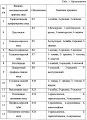 Способ установления европеоидно-монголоидной принадлежности индивида по внешне-опознавательным признакам головы (патент 2661075)