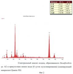 Способ получения ковеллита с использованием сульфатредуцирующих бактерий, устойчивых к меди (патент 2426783)