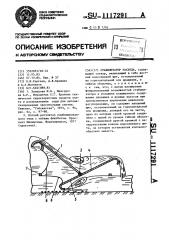 Стабилизатор расхода (патент 1117291)