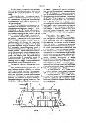 Устройство для обработки междурядий пропашных культур (патент 1604179)