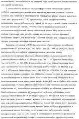 Иммуногенные композиции, содержащие lawsonia intracellularis (патент 2443430)