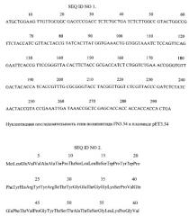 Рекомбинантная плазмидная днк рет3.54, кодирующая полипептид fn3.54, взаимодействующий с фактором некроза опухолей человека, и штамм бактерий escherichia coli - продуцент полипептида fn3.54, взаимодействующего с фактором некроза опухолей человека (патент 2531547)