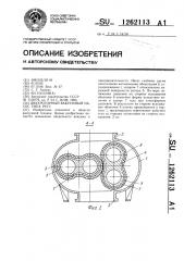Двухроторный вакуумный насос типа рутс (патент 1262113)