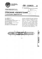 Устройство для формирования туннеля в тканях (патент 1220670)