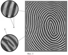 Способ формирования биометрического кода отпечатка пальца (патент 2395840)