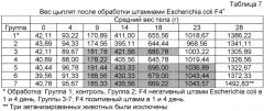 Применение живых бактерий для стимуляции роста животных (патент 2403712)