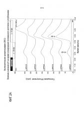 Улучшенная сборка биспецифических антител (патент 2654567)