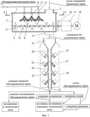 Способ комбинированного обеззараживания зерна и семян с использованием электромагнитного поля сверхвысокой частоты (патент 2550479)