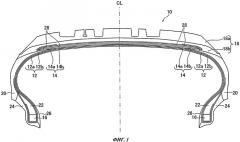Пневматическая шина (варианты) (патент 2529574)