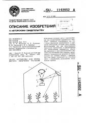 Устройство для прерывистого облучения растений (патент 1142052)