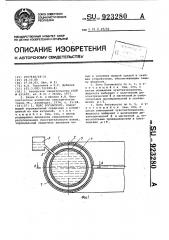 Пояс роговского (патент 923280)