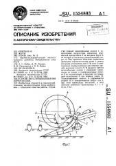 Устройство для выкапывания корнеплодов (патент 1554803)