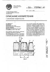 Способ укрепления лавиноопасного снежного покрова (патент 1737061)