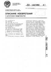 Устройство для теплового каротажа (патент 1437492)