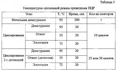 Набор для выявления днк провируса иммунодефицита крупного рогатого скота, содержащий пару специфичных праймеров и зонд, и способ диагностики вирусного иммунодефицита крупного рогатого скота методом полимеразной цепной реакции в режиме реального времени (патент 2595373)