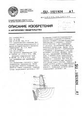 Устройство для закрепления грунта (патент 1421824)