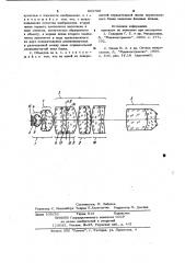 Объектив для микроскопа (патент 903786)