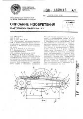 Пильная шина цепной пилы (патент 1359115)