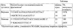 Рекомбинантный штамм бактерий escherichia coli n16 (pm.alubi) - продуцент днк-метилтрансферазы m.alubi (патент 2603086)