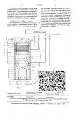 Устройство для получения ионного раствора серебра (патент 1637810)