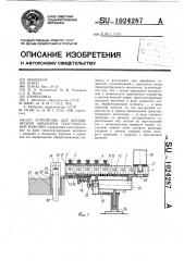 Устройство для механической обработки пластмассовых изделий (патент 1024287)